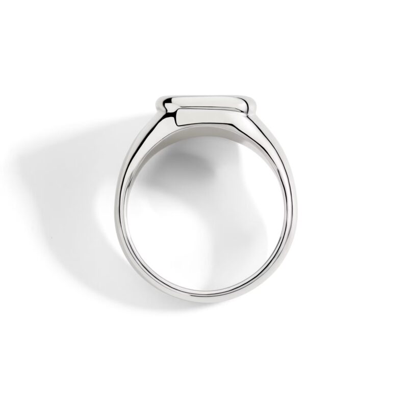 Anello Sigillo | Dodo - immagine 3